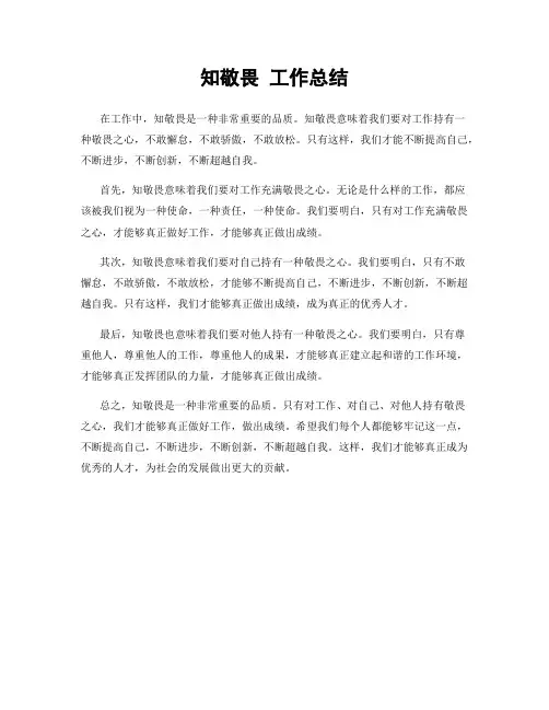 知敬畏 工作总结