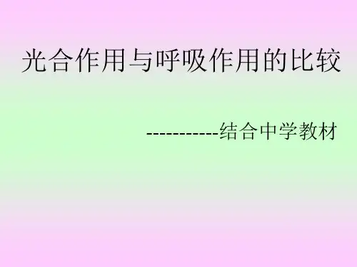 植物学光合作用与呼吸作用的比较,结合中学教材齐迪珍