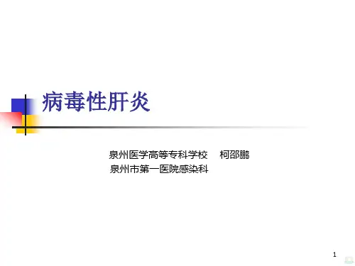 病毒性肝炎PPT课件