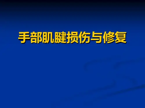 手部肌腱损伤
