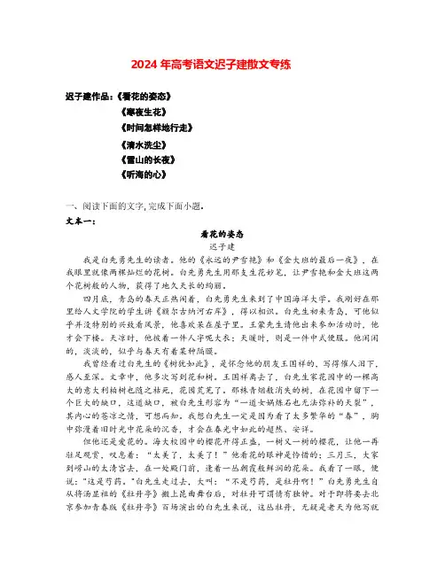 2024年高考语文阅读之迟子建散文专练(全国通用)原卷版