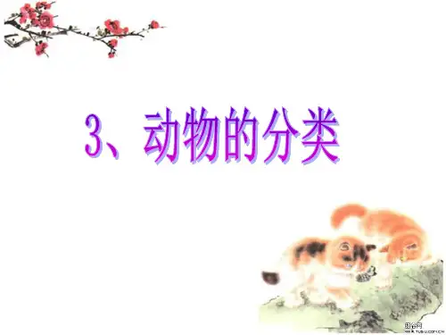大象版小学科学三年级上册《动物的分类》(公开课)课件