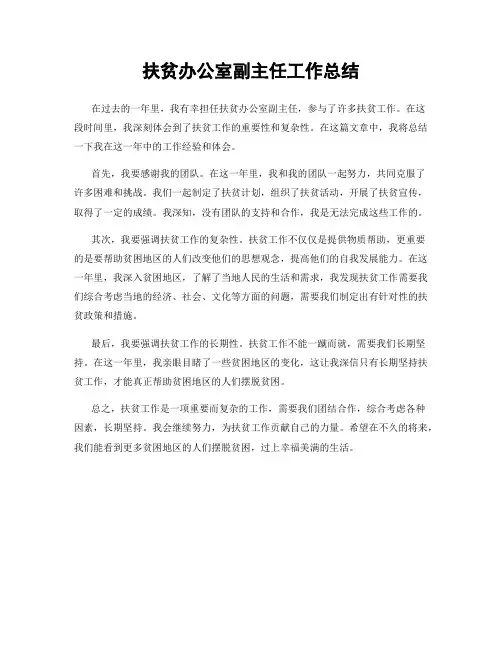 扶贫办公室副主任工作总结