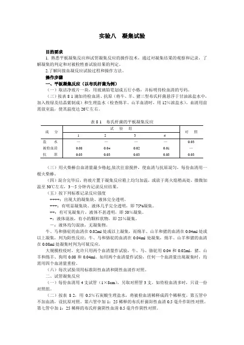 实验八凝集试验