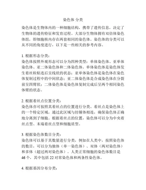 染色体 分类