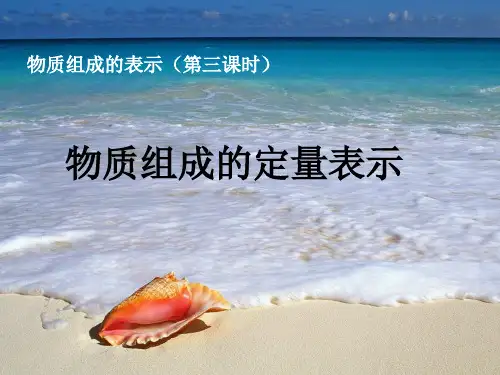 鲁教版九年级上册化学 4.2 物质组成的表示 第三课时 课件(共27张PPT)