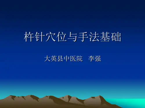 杵针穴位与手法基础演示课件