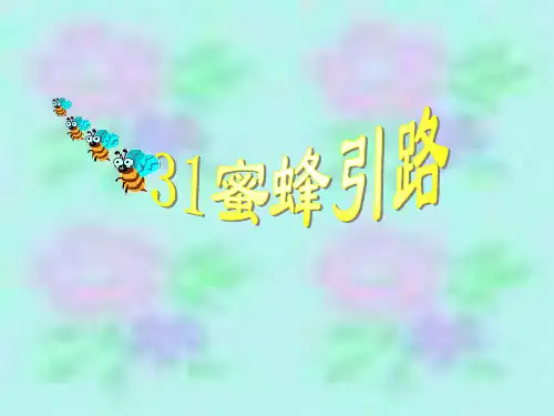 二年级语文下册蜜蜂引路ppt课件