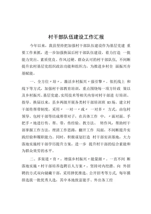 村干部队伍建设工作汇报