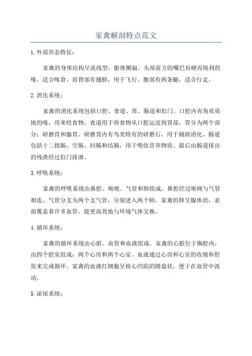 家禽解剖特点范文