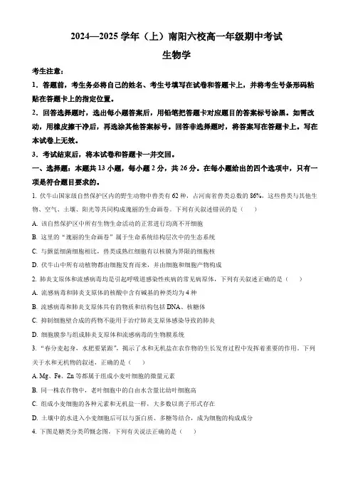 河南省南阳市六校2024-2025学年高一上学期期中联考生物试题 (含答案)