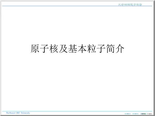 原子核及基本粒子简介PPT课件