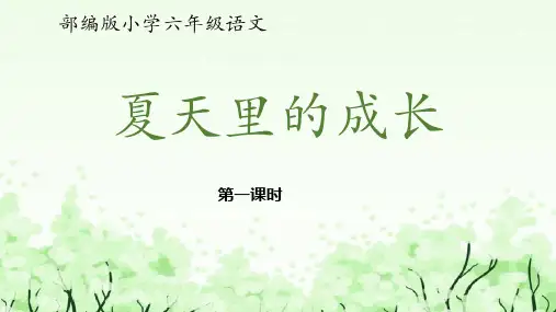 16 夏天里的成长 第一课时课件(共15张PPT)