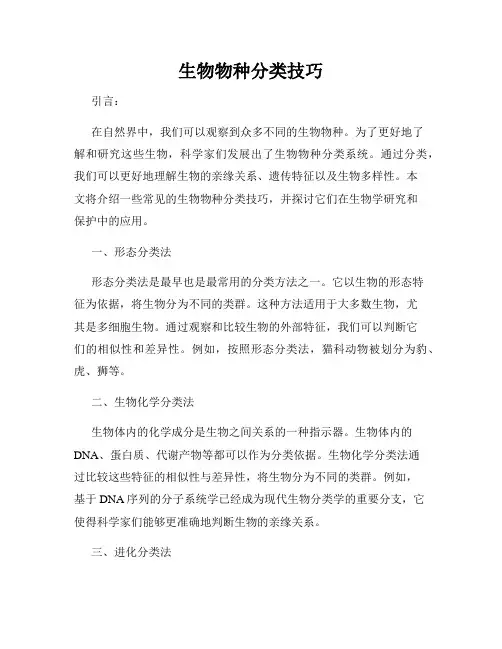 生物物种分类技巧