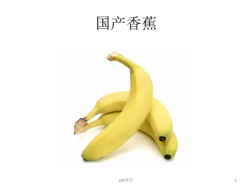 水果培训基本知识  ppt课件