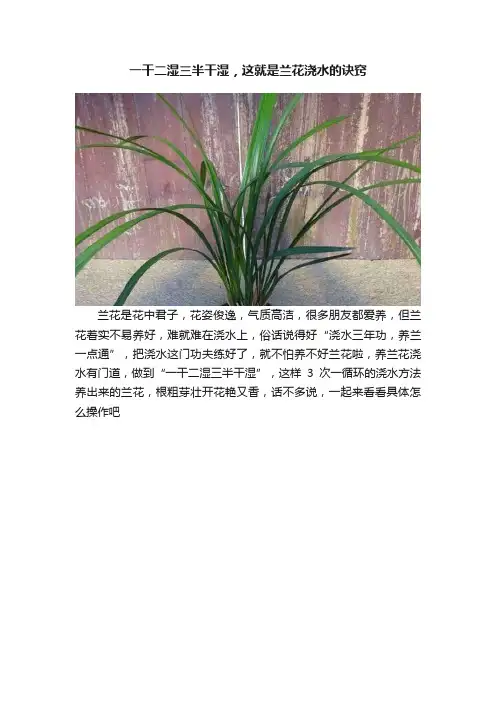一干二湿三半干湿，这就是兰花浇水的诀窍