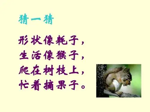 《松鼠和松果》终极完美版PPT课件