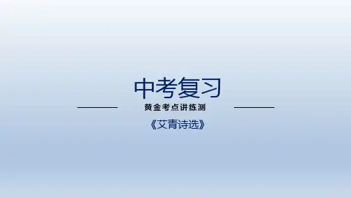 中考语文专题复习9名著阅读之《艾青诗选》