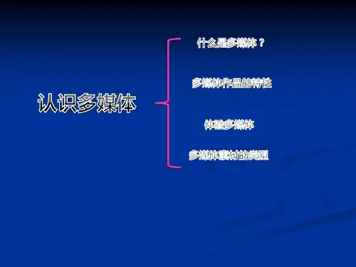 第一课认识多媒体