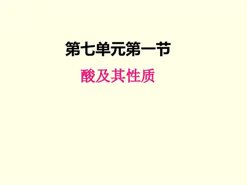 九年级下册化学课件(鲁教版)酸及其性质