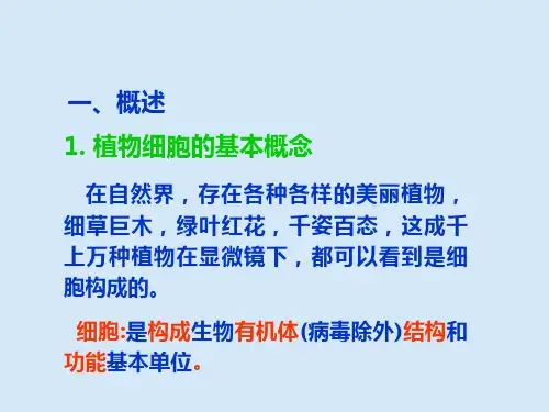 植物细胞的结构