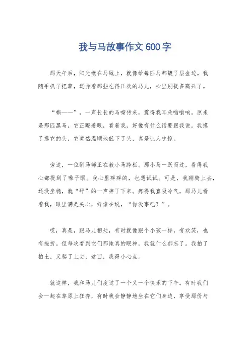我与马故事作文600字
