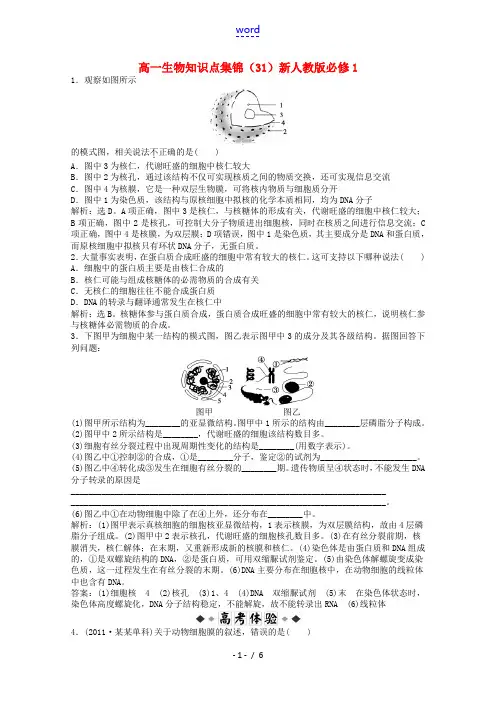高中生物知识点集锦(31)新人教版必修1