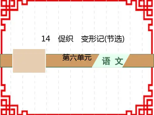人教版高中语文必修下册 第六单元 14 促织 变形记(节选)