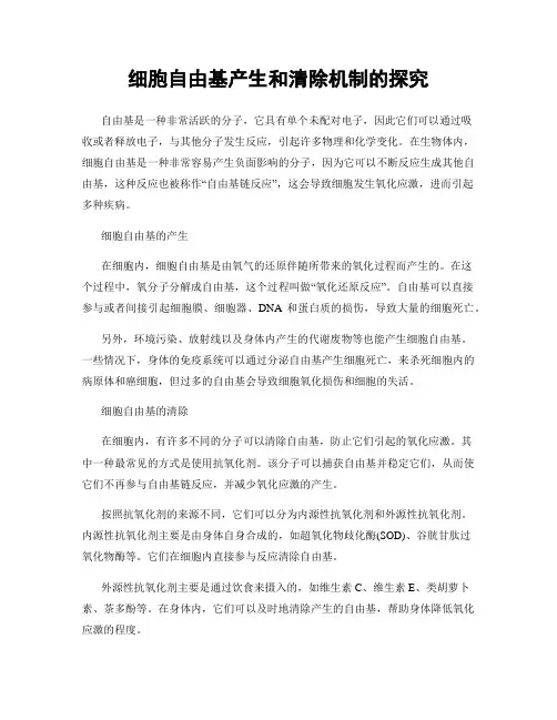 细胞自由基产生和清除机制的探究
