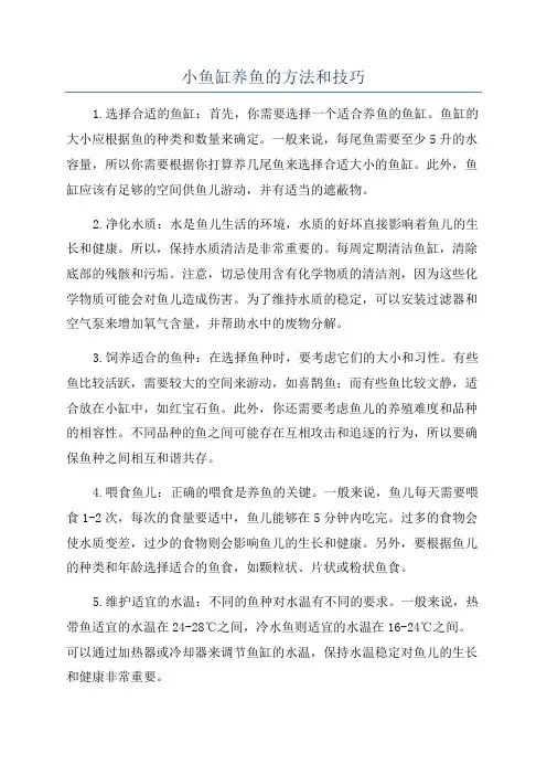 小鱼缸养鱼的方法和技巧