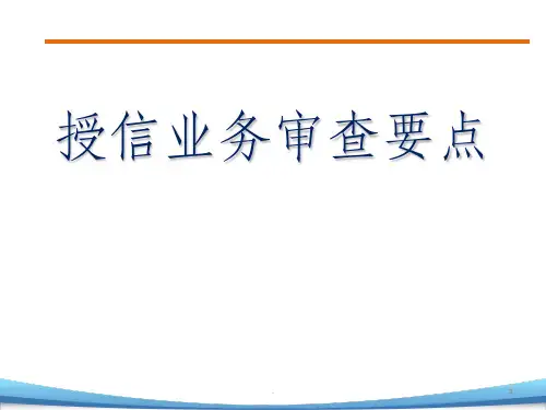 授信审查要点ppt课件