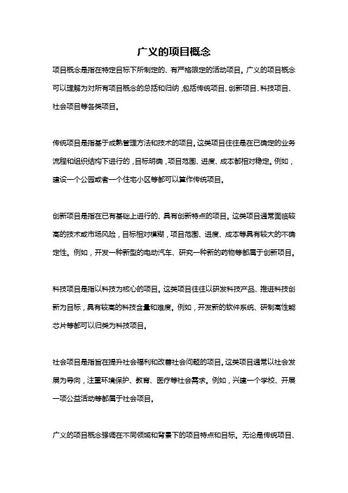 广义的项目概念