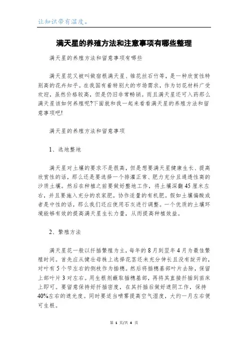 满天星的养殖方法和注意事项有哪些整理