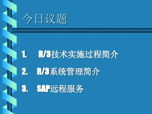 SAP系统Basis入门培训教程权威指南