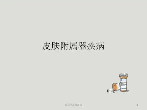 皮肤附属器疾病ppt课件