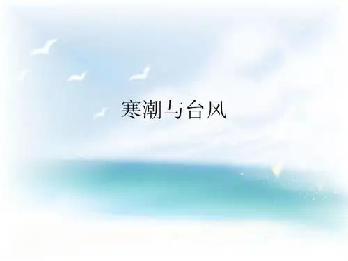 寒潮台风