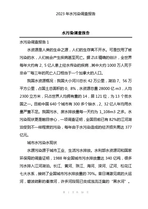 2023年水污染调查报告