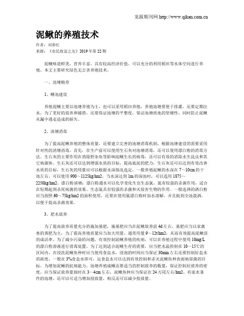 泥鳅的养殖技术