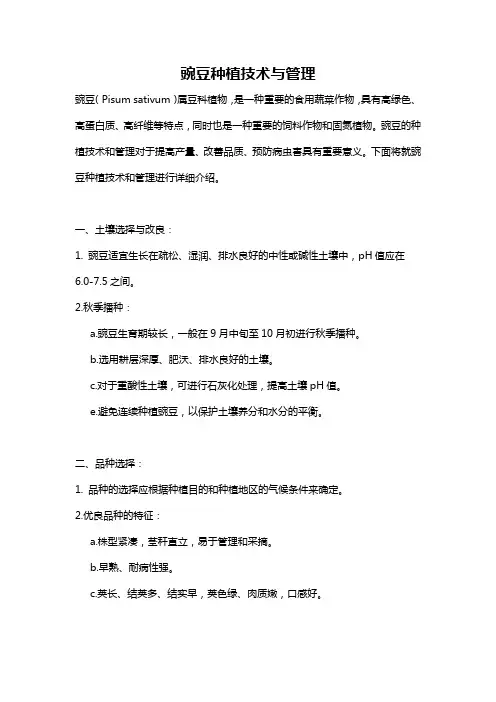 豌豆种植技术与管理