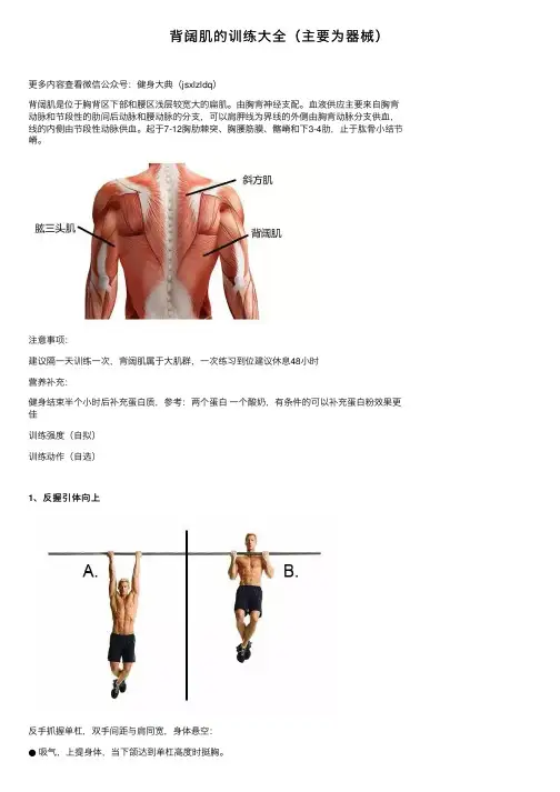 背阔肌的训练大全（主要为器械）