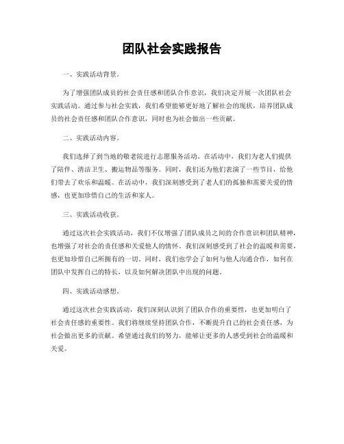 团队社会实践报告