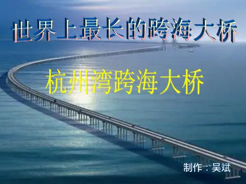 杭州湾跨海大桥介绍