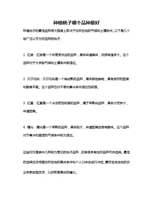 种植桃子哪个品种最好