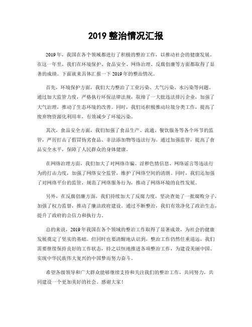 2019整治情况汇报