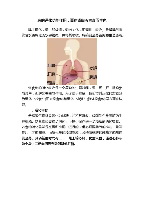 脾的运化功能作用，百病皆由脾胃衰而生也