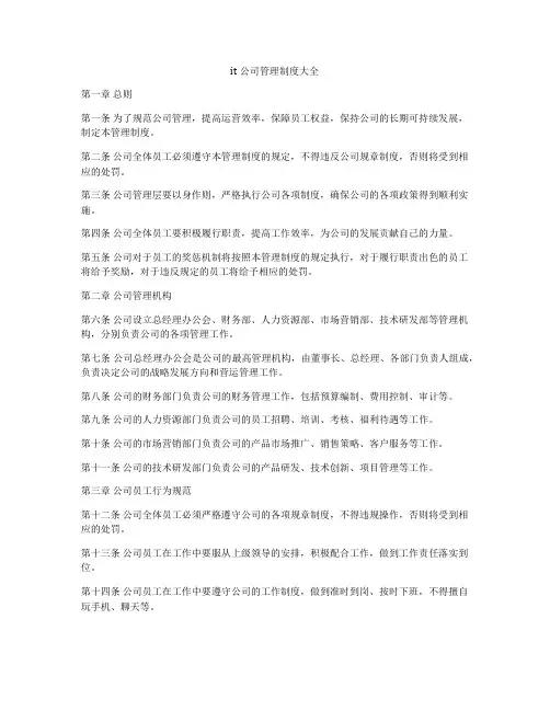 it公司管理制度大全