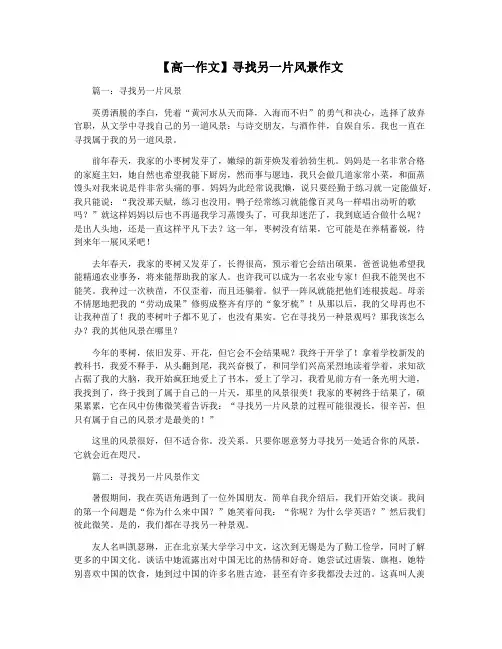【高一作文】寻找另一片风景作文