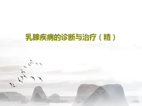 乳腺疾病的诊断与治疗(精)116页PPT