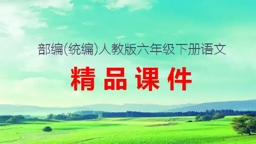 (PDF版)9 那个星期天   教学课件PPT   部编(统编)人教版 六年级下语文