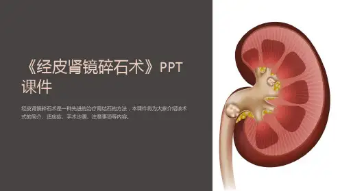 《经皮肾镜碎石术》课件